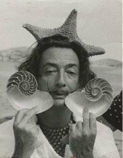 lionsinthezoo:  Salvador Dali Fibonacci 