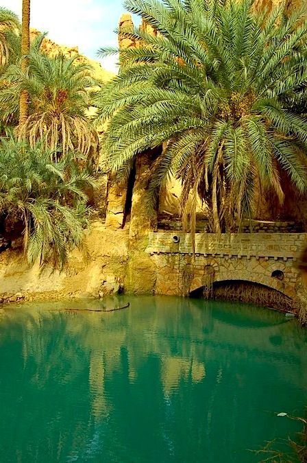 best-things:    Chebika Oasis in the Sahara Desert   