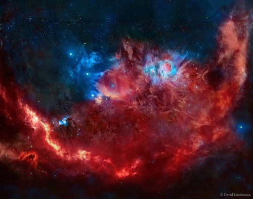 shinyrebeladdict: Orion in Red and Blue Image Credit &amp; Copyright: David Lindemann Explanatio