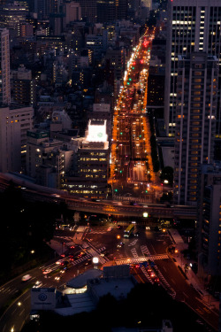 breathtakingdestinations:  Tokyo - Japan (von Bri74)