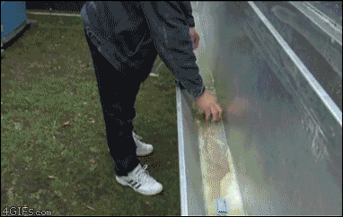 4gifs:  American tourist discovers that’s not a sink. [video]