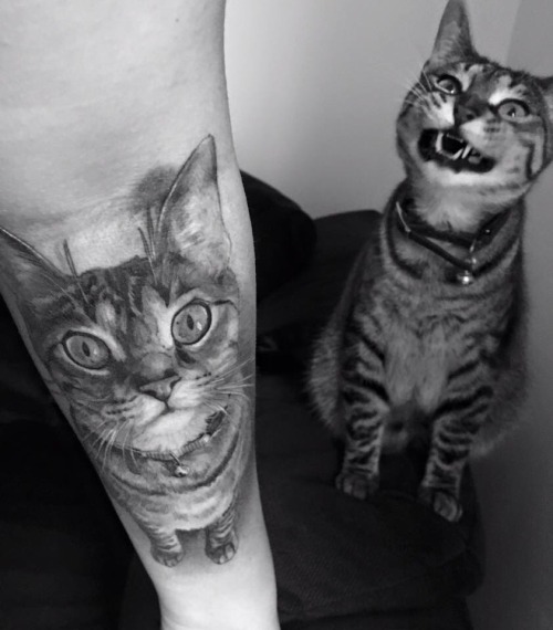 Porn fuckyeahtattoos:  Do you think my cat approves photos