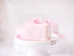 kawaiistomp:    Hanami ❀ Petit Four by