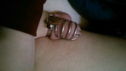 youngchastity:  Lying in bed - horny, frustrated, aroused. A strange and intense mixture of feelings. My girlfriend just slapped my balls 40 times for unlocking me for school yesterday because I had sports. That was the only time I was unlocked in 8 days