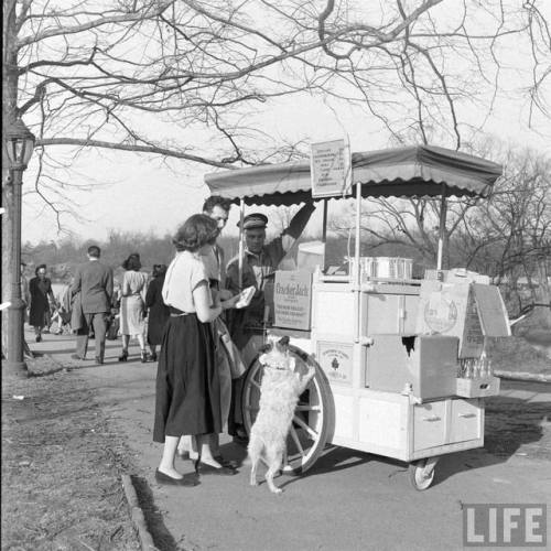 Spring in New York(Martha Holmes. 1948)