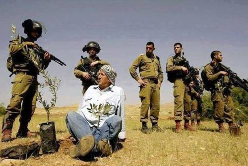  Clearly this picture shows that it takes 6 settler colonial apartheid Israeli soldiers to prevent o