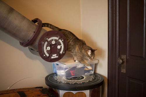 steampunktendencies:  Home Office Cat Transit System Facebook |  Google + | Twitter Steampunk Tendencies Official Group 