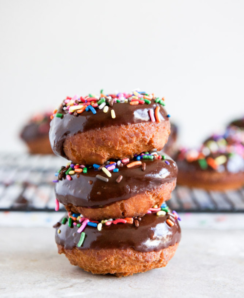 chocolate frosted cake donuts