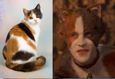 Cats 2019 As Real Cats Cause Why Not