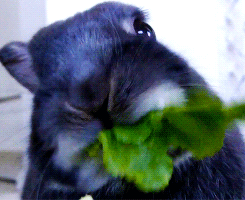 the-absolute-best-posts:  This post has been featured on a 1000notes.com blog.