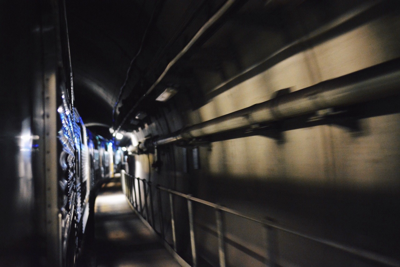 dysmorphismm:  ECRL