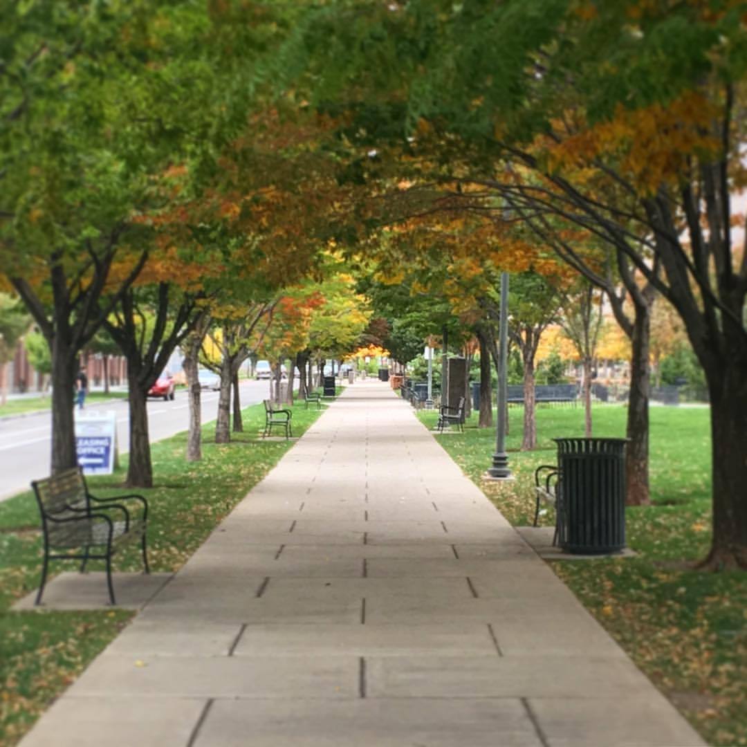 I wish every sidewalk was a tree tunnel. (at Salt Lake City, Utah)