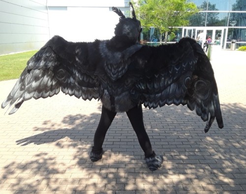 coughsyrup-cosmonaut:Mothman was spotted terrorizing cosplayers at a convention this weekend, more o