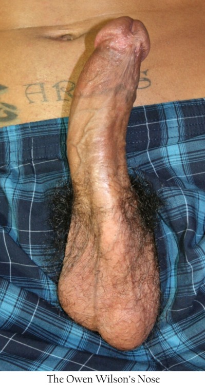 alimjayni: slymdckn:  thicktivity:  theeeditorinchief:  “The Penis Index” Beautiful! (A 