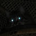 catsuggest:catsuggest:catsuggest:im wotchinge you ! juste need to make sure youm are sleepinge safely … 
