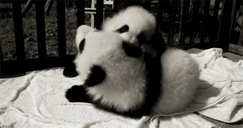 haiilmaredentroliride:  occhiluccicantiemanifredde:  occhiglaciali:  iaiapici:  Oh