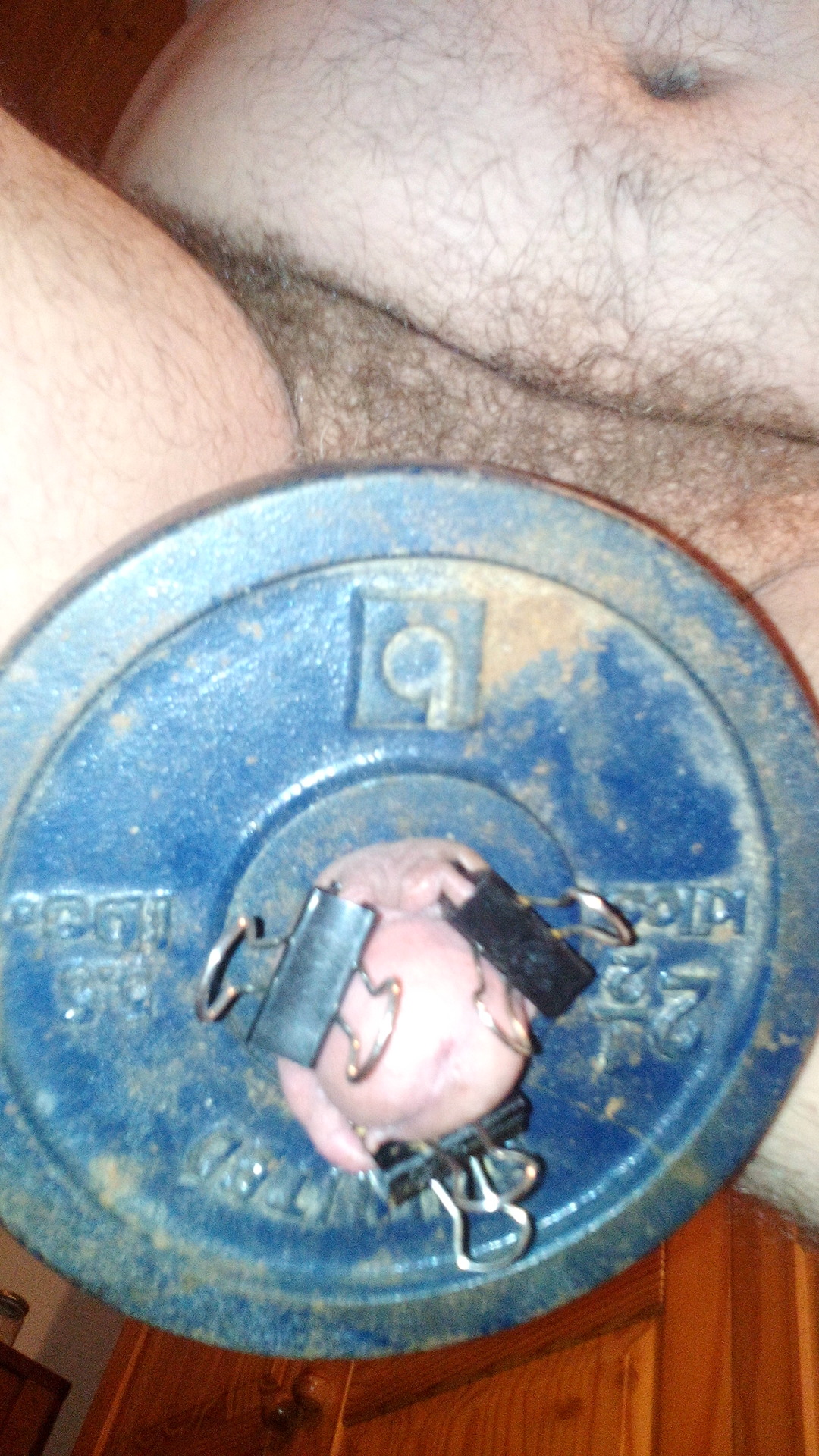 Schwein beim Gewichtheben