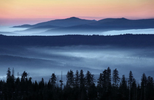 foxmouth: The Fog, 2014 | by Kilian Schönberger