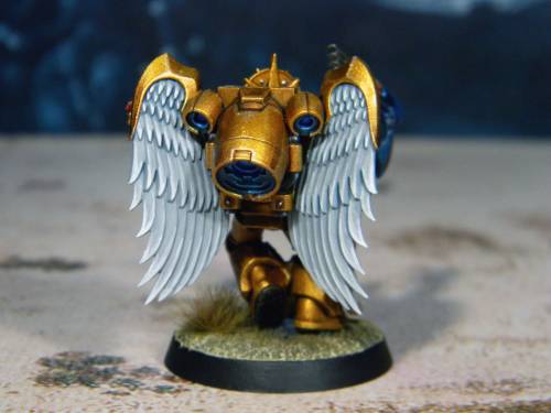 The thirteenth Sanguinary Guard.