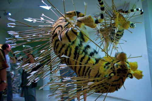 Installation sculpture by artist Cai Guo-Qiang.  These are sculptures of tigers suspended from the c