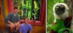 Dogsuicidebridge:  Psa: Zoboomafoo (Jovian) Died At The Duke Lemur Center On Monday