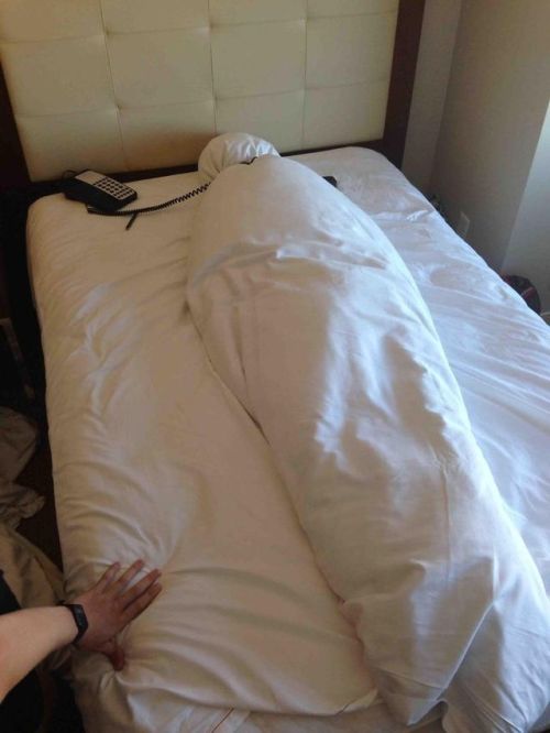 sixpenceee: “So this is how my friend left the bed in our hotel room”Source