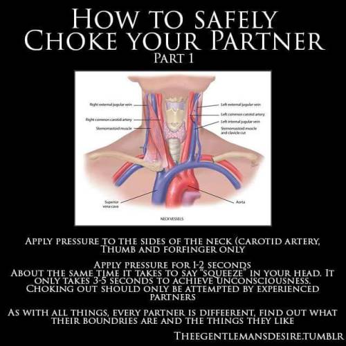 sexychoking: theegentlemansdesire: Safety First. Very important message kiddos.