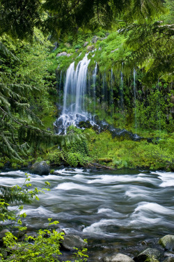 tulipnight:  Mossbrae Falls by SizzlPix! on Flickr. 