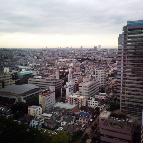 The view from my room at Nakano Sunplaza Hotel.