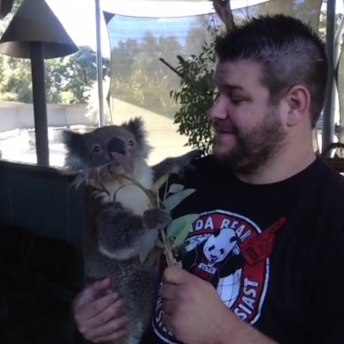 Sex unstablexbalor: Zoo Enthusiast Kevin Owens pictures