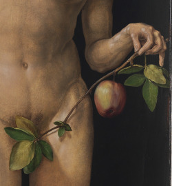 rubenista:  Albrecht Dürer, Adam and Eve