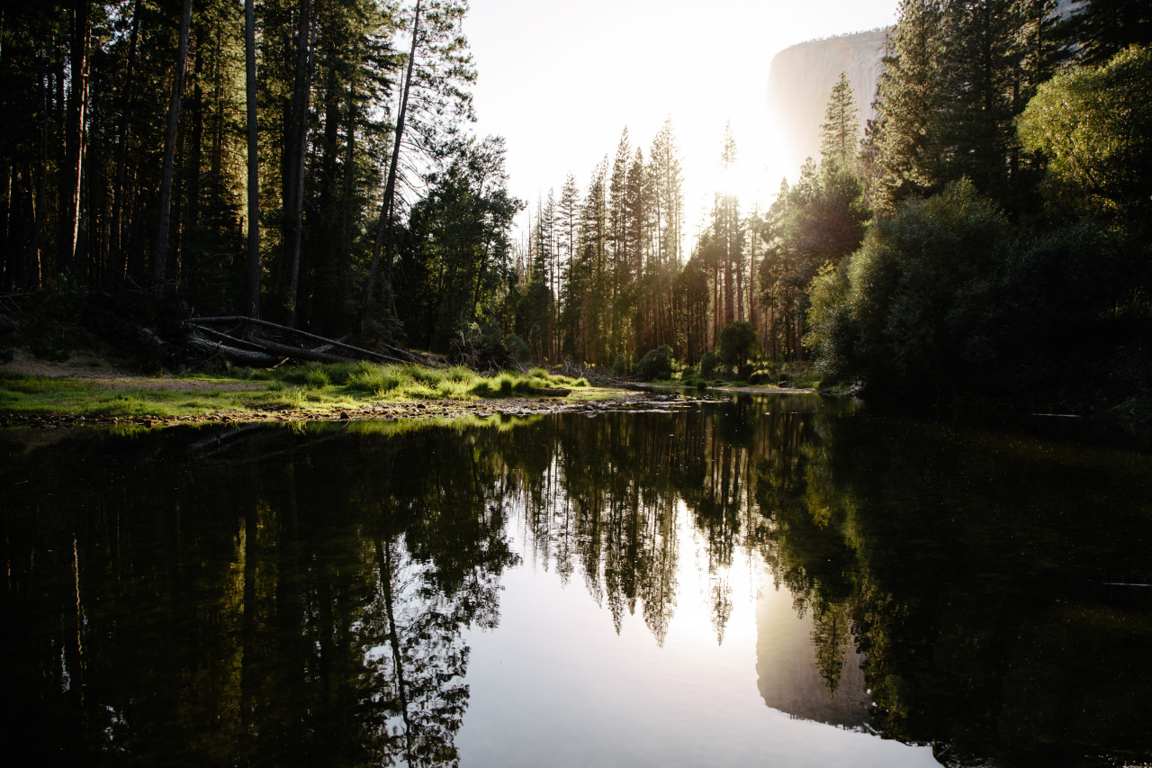 eartheld:  jeffstockwell:  weekend getaway in Yosemite   mostly nature 