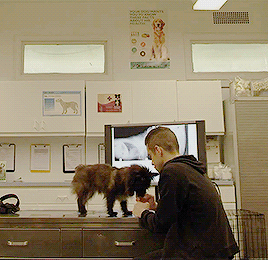 suboxoneanddrugs:  first day of my life that I wish to be a dog