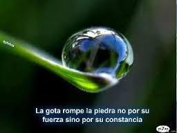 sarcasmofrases1:  Sarcasmo Frases -