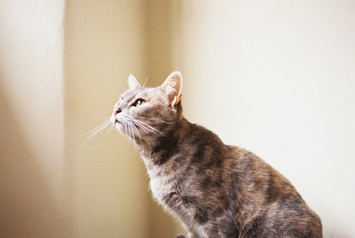 imperfectio:  sans titre by Sarita Lolita on Flickr. 