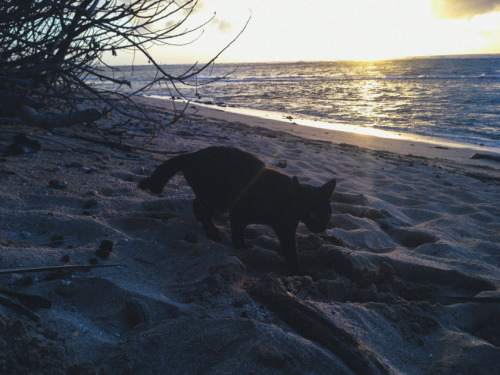 Wednesday came with us to the beach