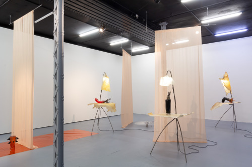 Pakui Hardware, Thrivers, solo show at Polansky Gallery, Prague, 2019http://www.pakuihardware.org/in