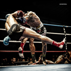 Muay Thai Pics