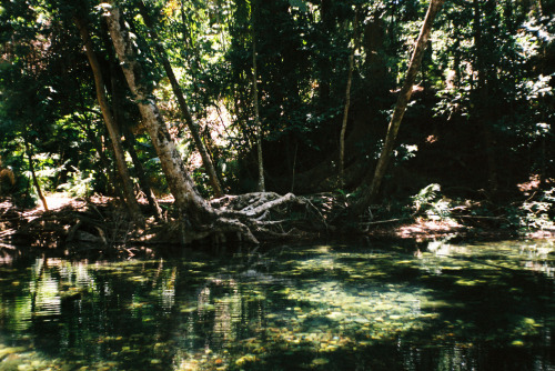 December 2019.Emmagen Creek