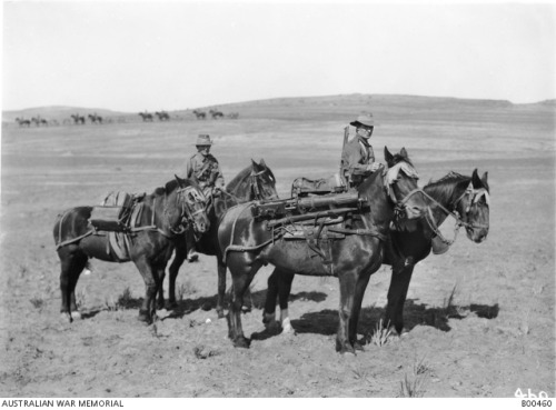 scrapironflotilla: Pack horses with Vickers machine guns and ammunition of the 2nd Australian Light 