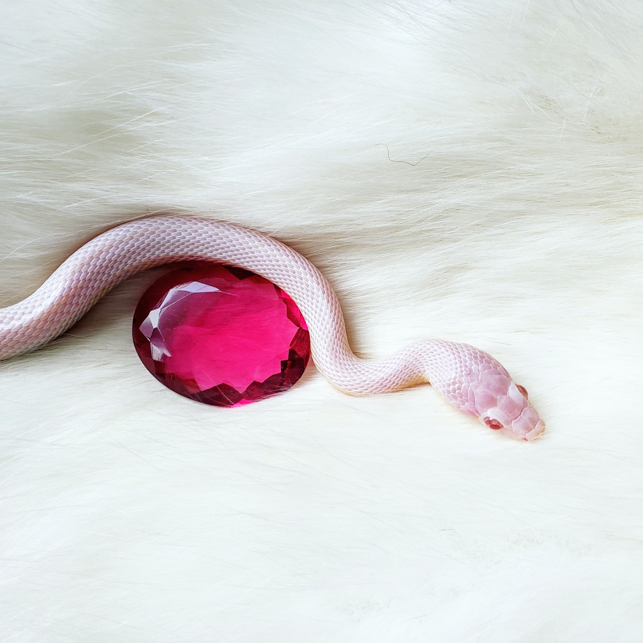 zooophagous:  bard-of-the-90s:   zooophagous:  A tiny dragon and his pink treasure.