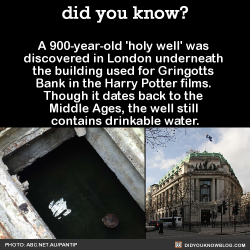 did-you-kno:  A 900-year-old ‘holy well’