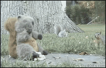 gif-giz:  http://gifini.com/ 