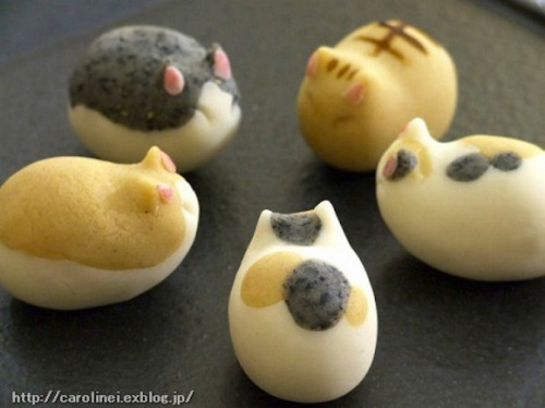 archiemcphee:  Kawaii! These little kitties aren’t just unbelievably cute, they’re also edible. They’re made by a Japanese mom named Caroline for Neko no Hi or Cat Day, which takes place each year on February 22nd. Cat-shaped treats seem like a