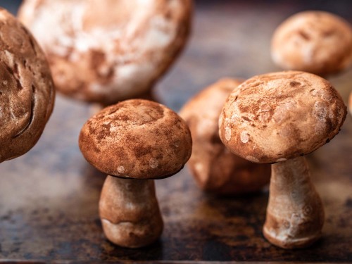 foodffs: Perfect Meringue Mushrooms RecipeFollow for recipesIs this how you roll?