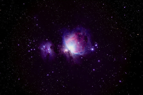 The Orion Nebula (M42) and Running Man Nebula (NGC 1977)by:Joseph Brimacombe