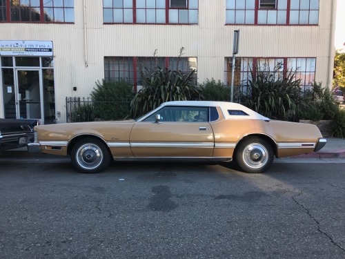 1976 Ford Thunderbird - Emeryville, CA