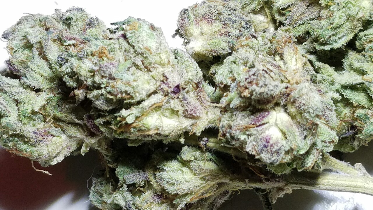 420stationusa:  Stay High And Check Out Our Store Here!!