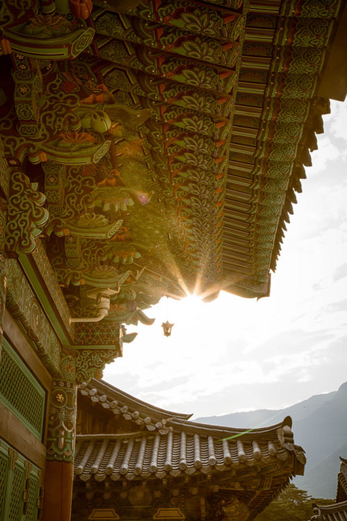 lovesouthkorea:   	Tongdosa (one of the Three Jewel Temples of Korea) at sunset by Jason Teale     