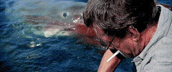 thecinematography:Jaws (1975) dir. Steven